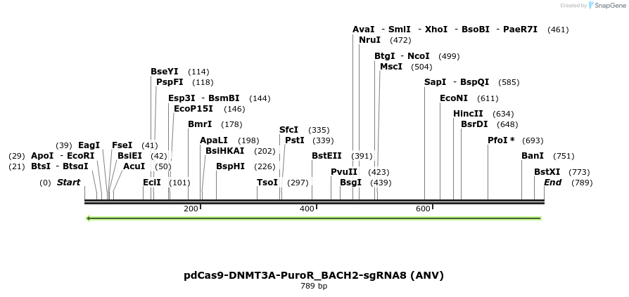 134114_map