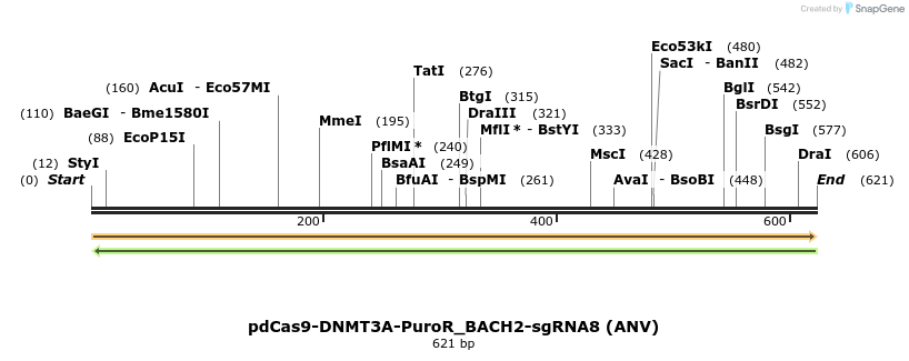 134115_map
