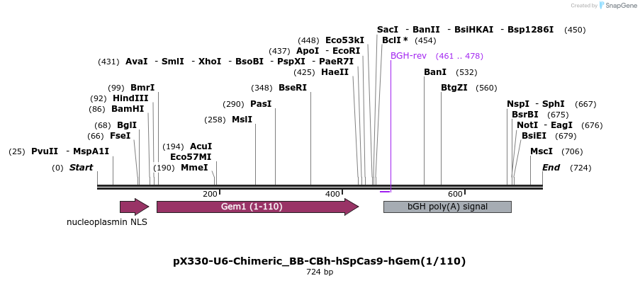 134126_map