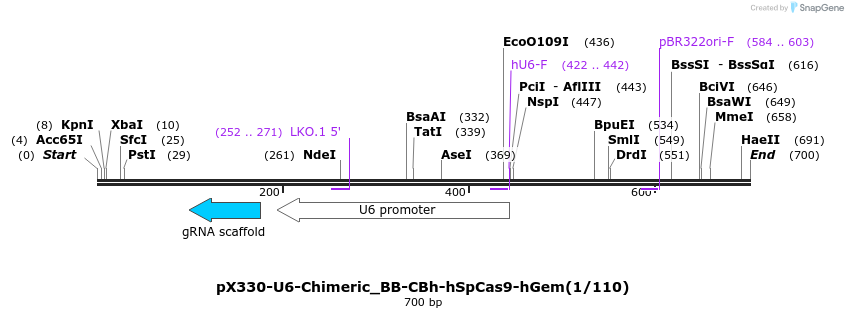 134127_map