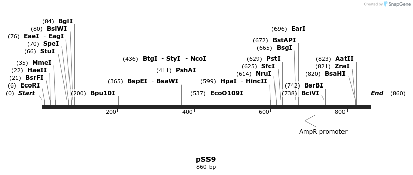 134130_map