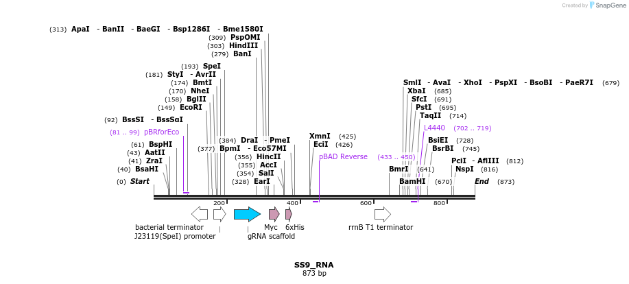 134132_map