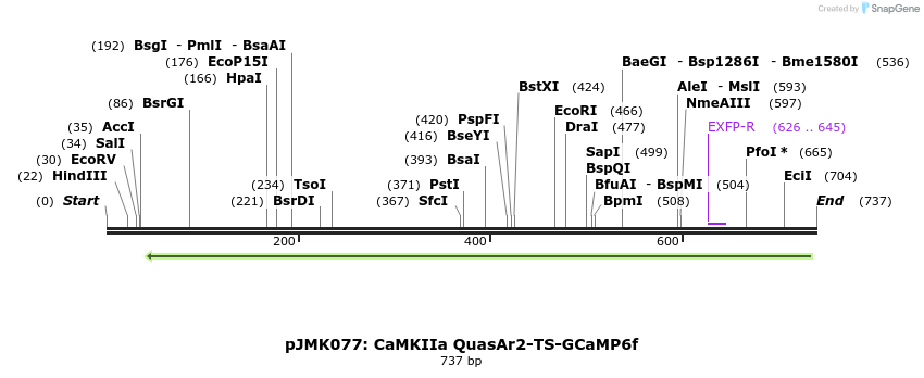 134150_map