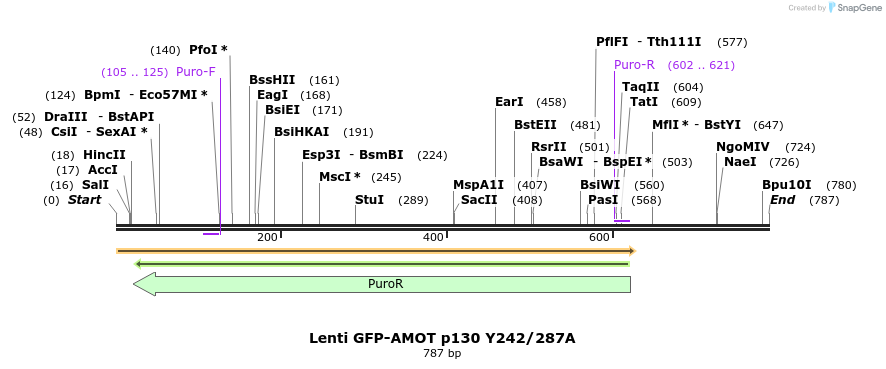 134154_map
