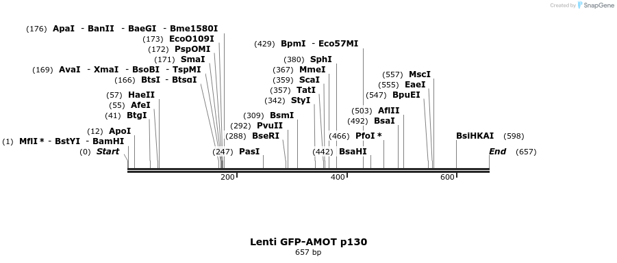 134155_map