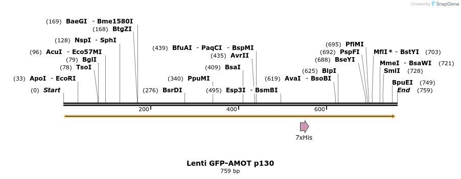 134156_map
