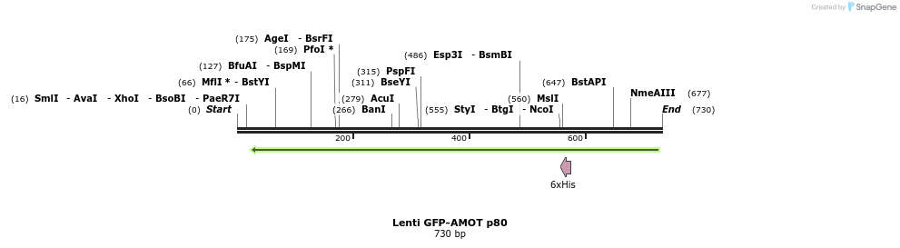 134164_map