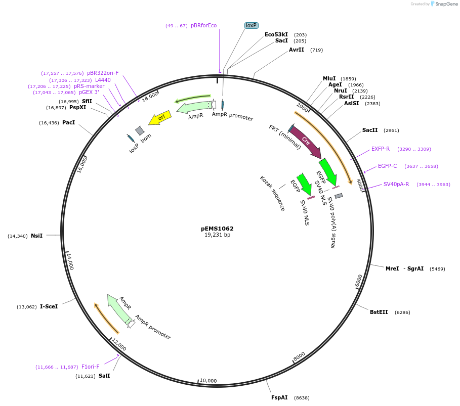 13417_map
