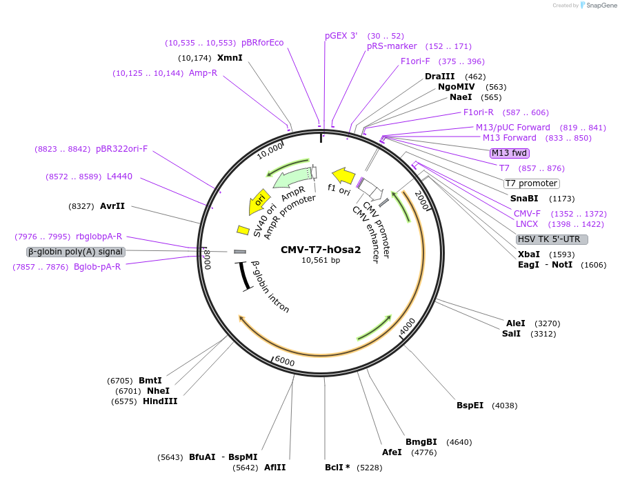 134176_map