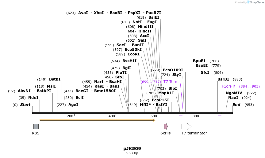 134185_map