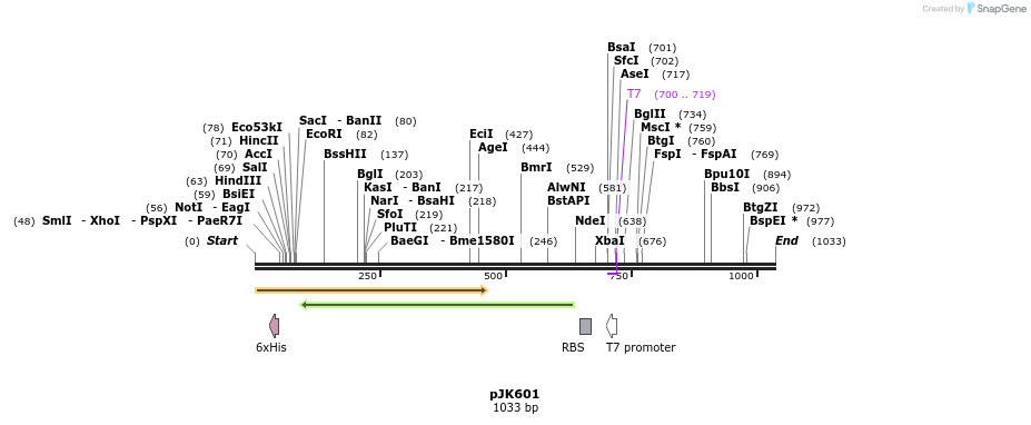 134197_map