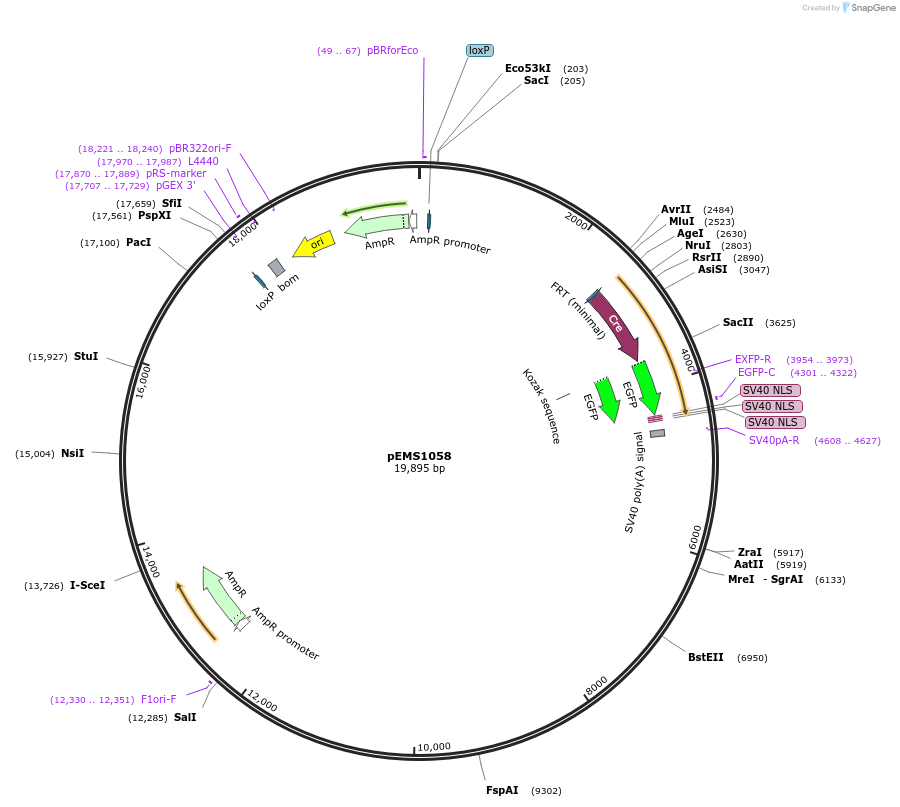 13420_map