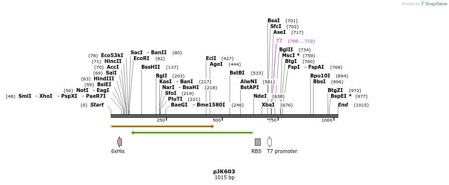 134204_map