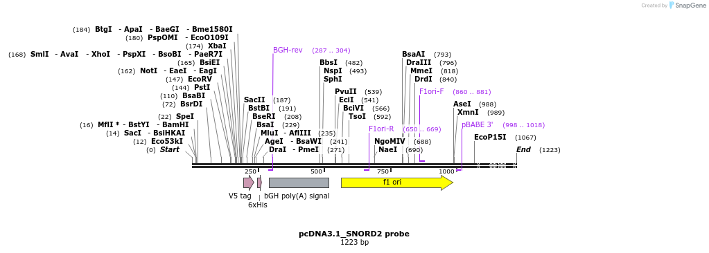 134211_map