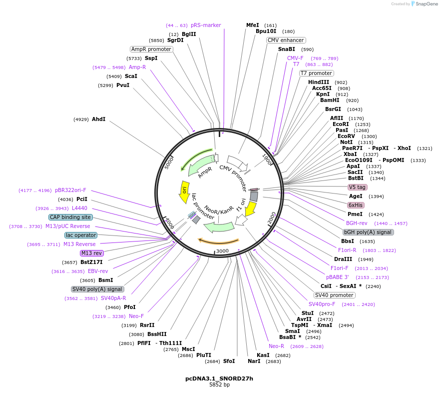 134221_map