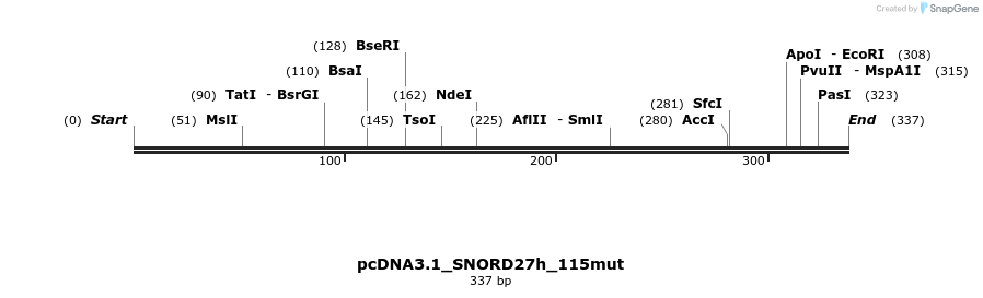 134222_map