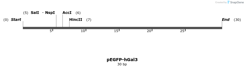 134229_map