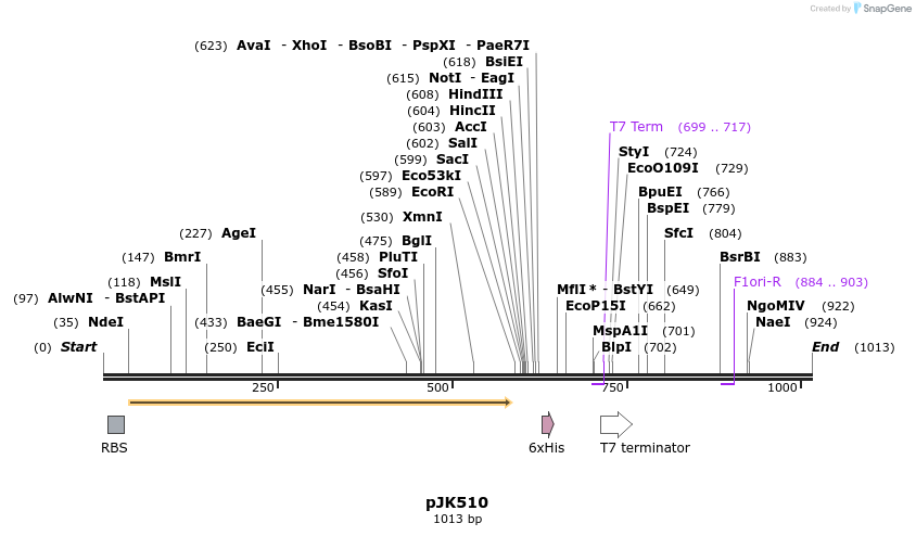 134251_map