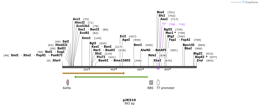 134252_map