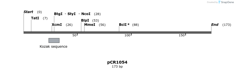 134256_map