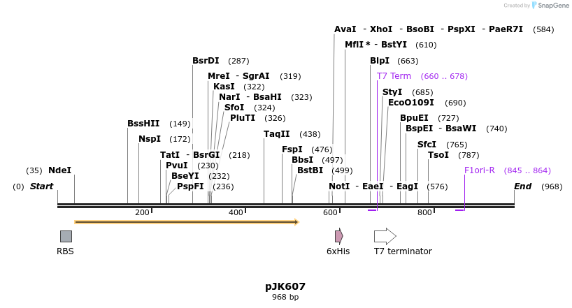 134257_map