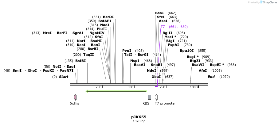 134270_map
