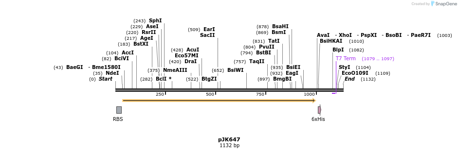 134275_map