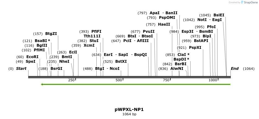 134302_map