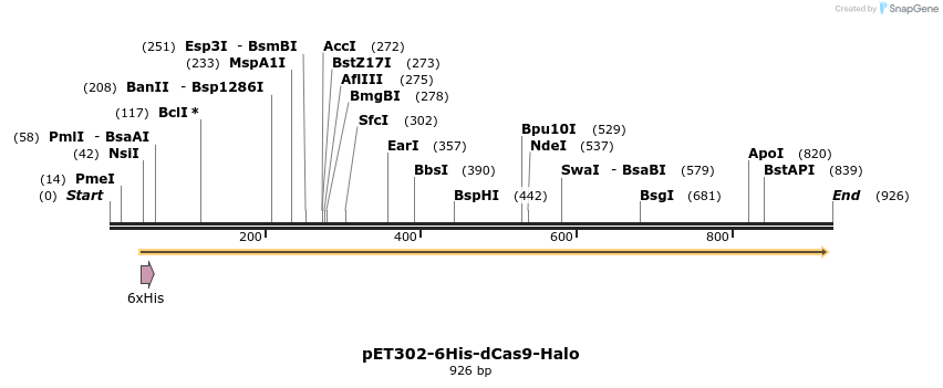 134311_map
