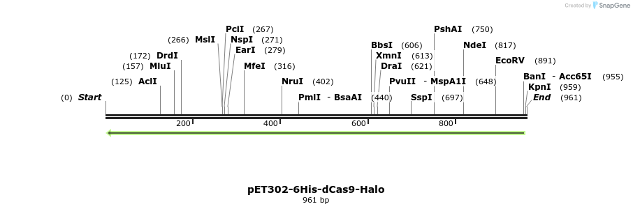 134312_map