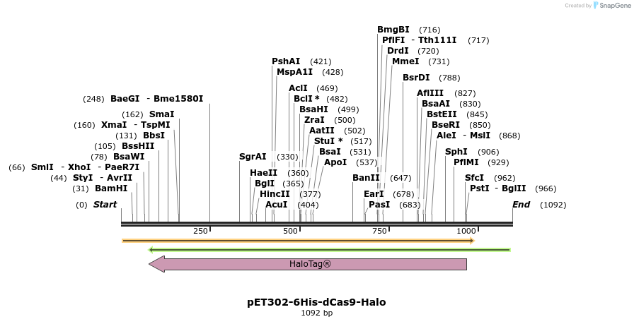134313_map