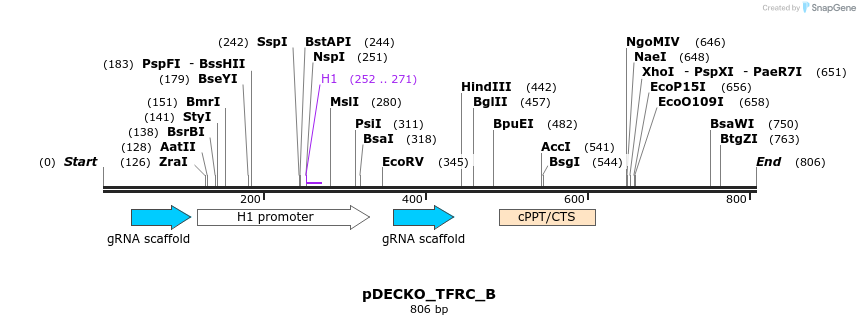 134317_map