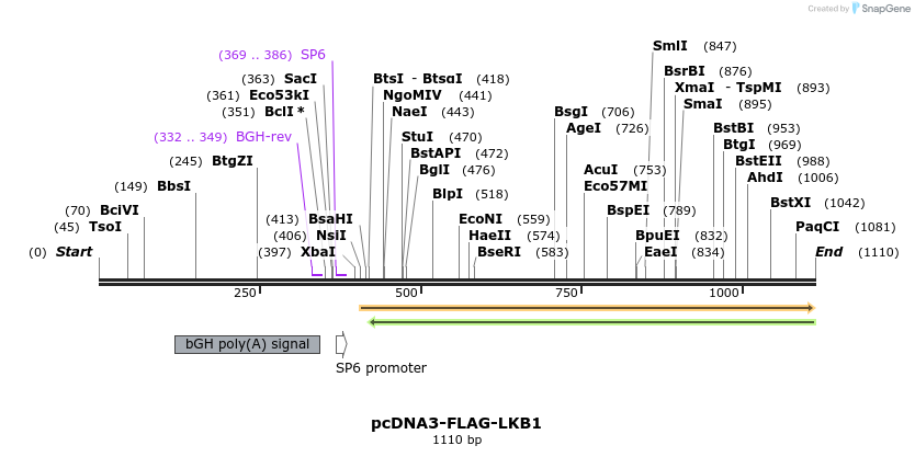 134319_map