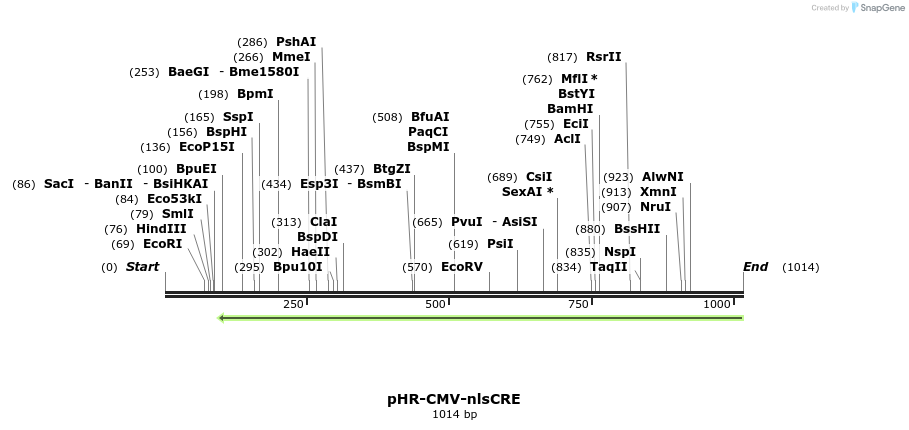 134327_map