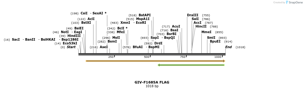134348_map