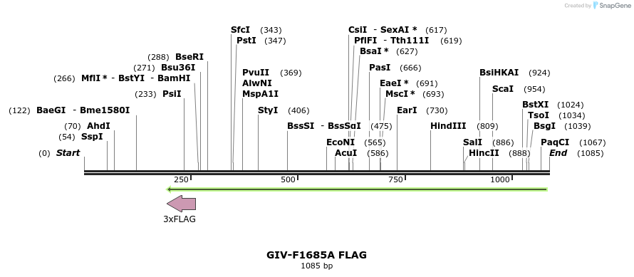 134371_map