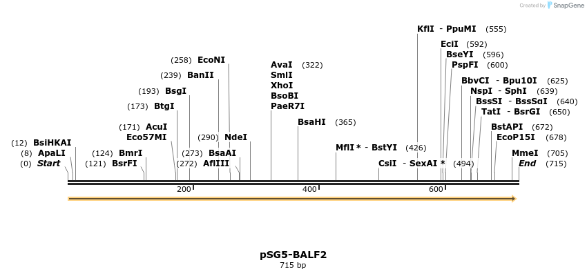 134425_map