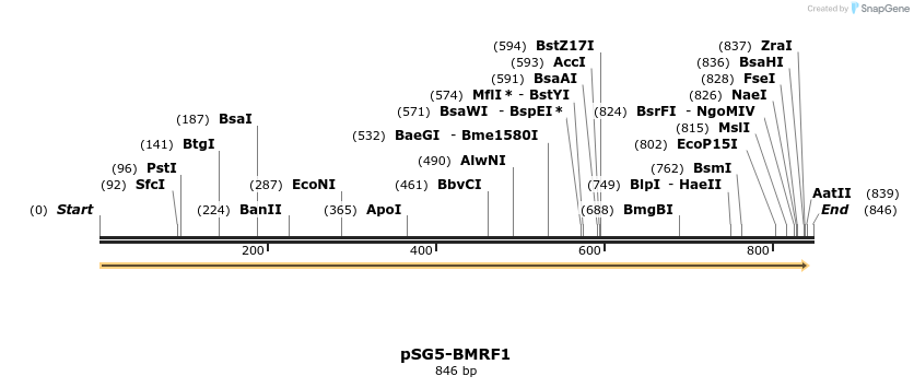 134434_map