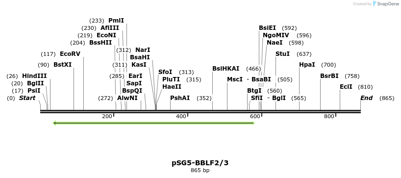 134440_map