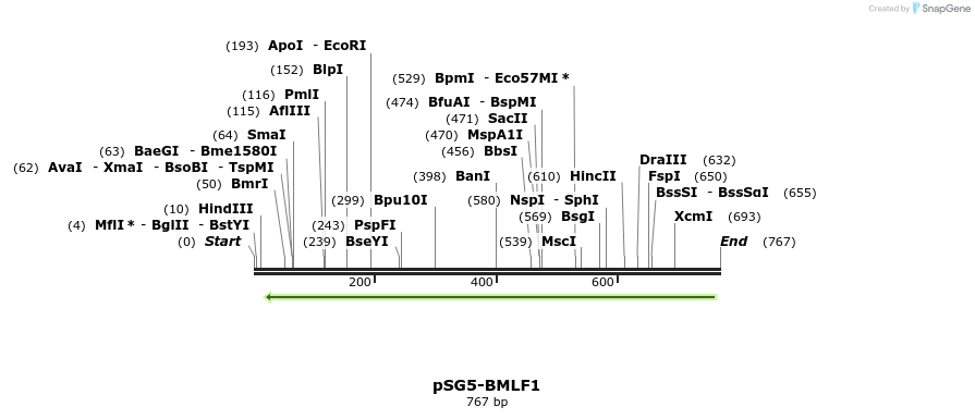 134449_map