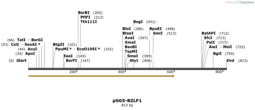 134452_map