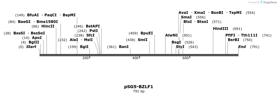 134453_map