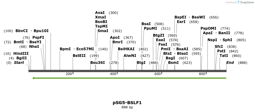 134455_map