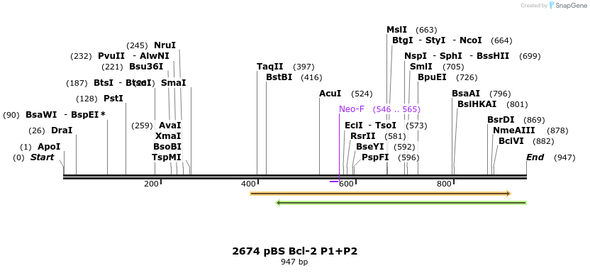 134464_map