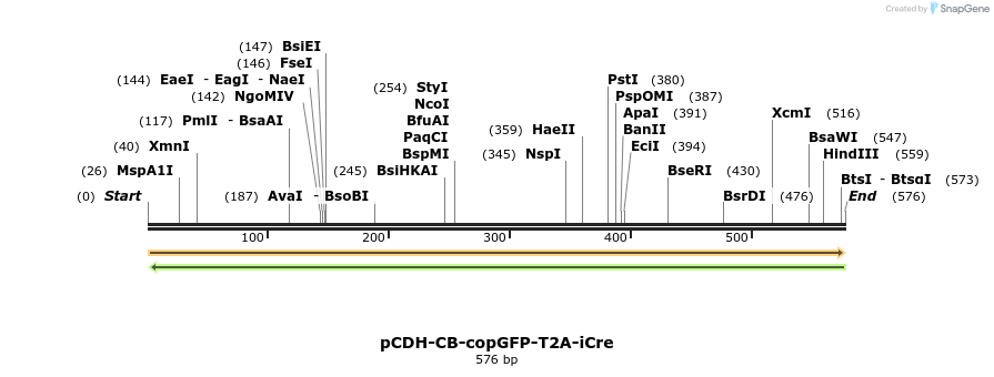 134465_map