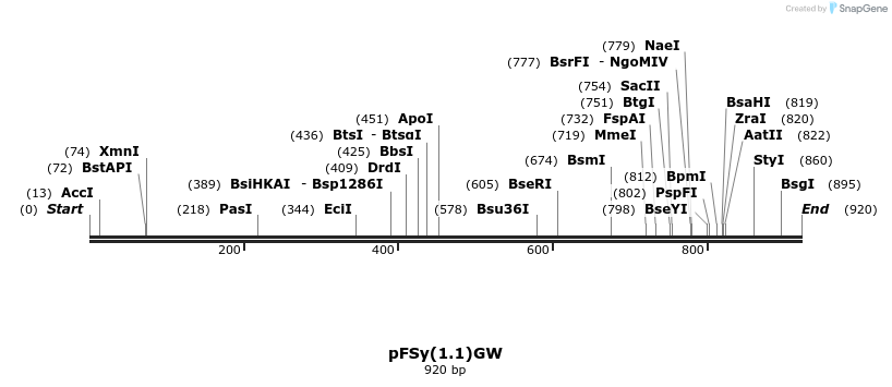 134466_map