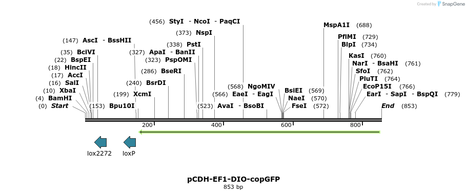 134472_map