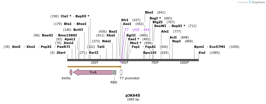 134481_map