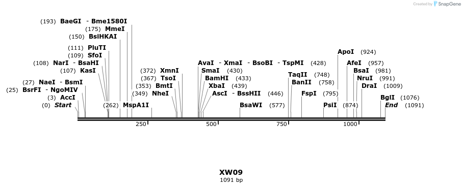 134498_map