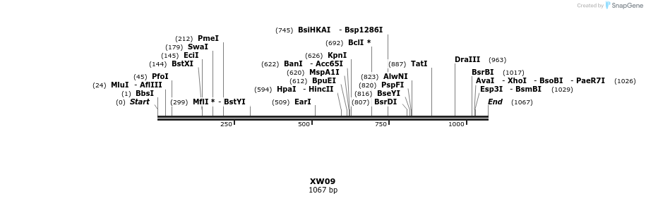 134499_map